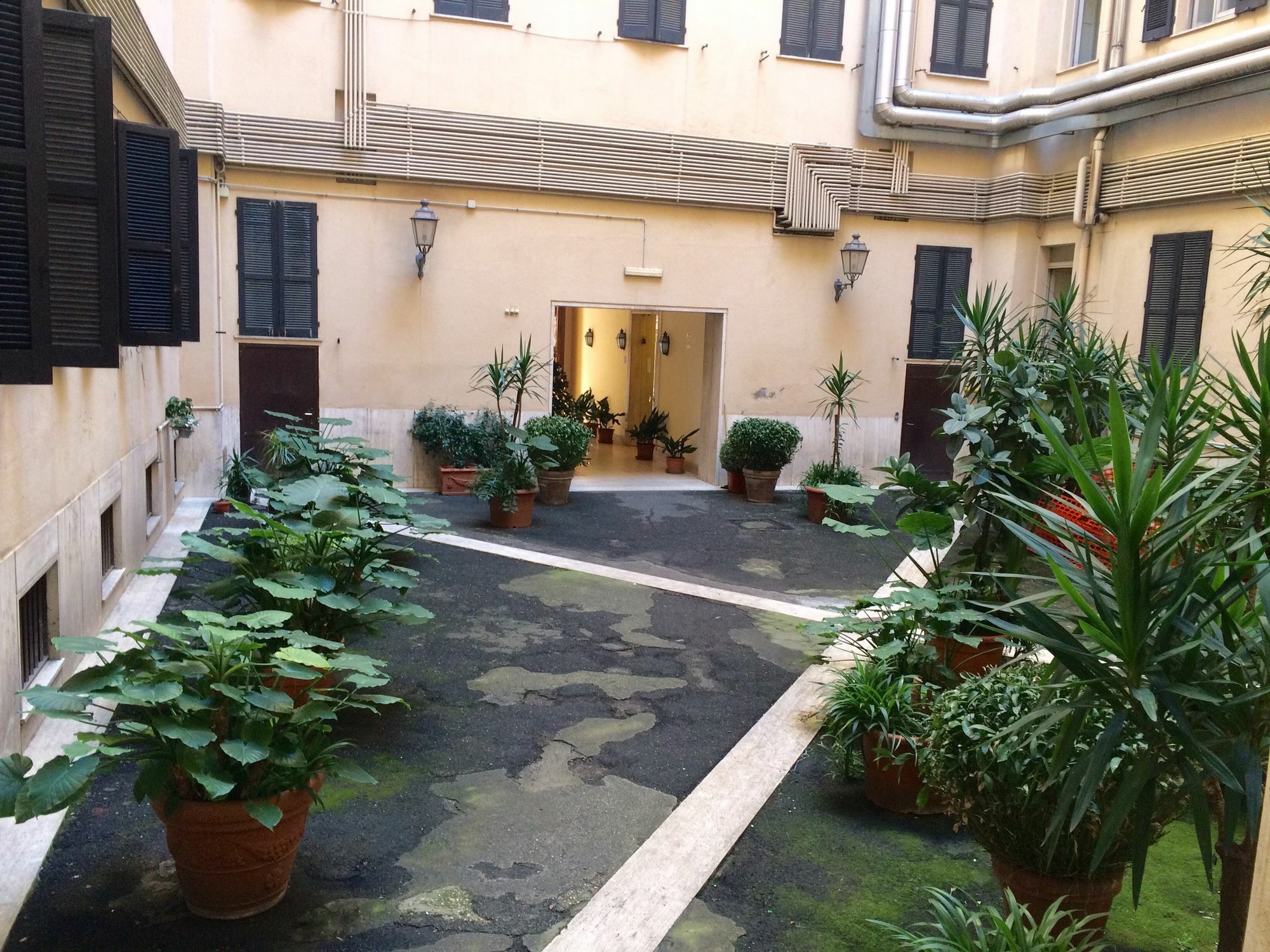 Ohi * Roma